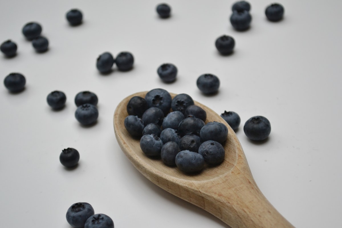 Fibra dietética y salud digestiva